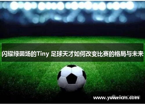 闪耀绿茵场的Tiny 足球天才如何改变比赛的格局与未来