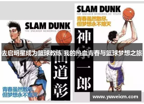 去启明星成为篮球教练 我的热血青春与篮球梦想之旅